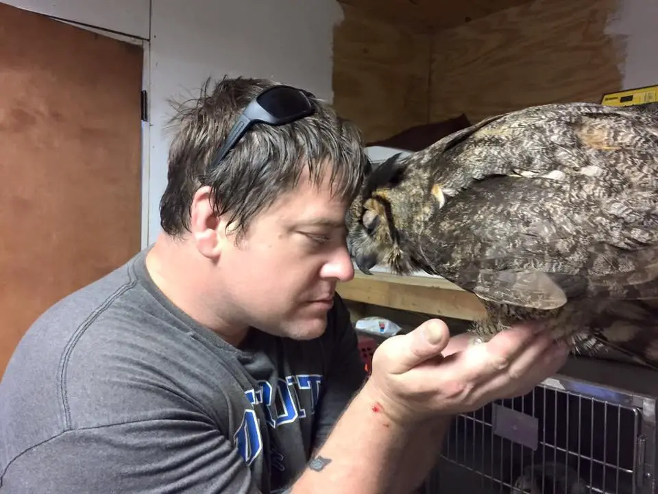 owl hugs rescuer