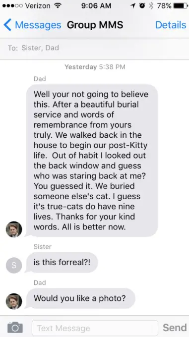 cat burial