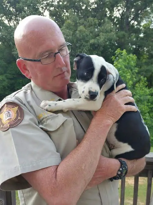 dog rescued from box