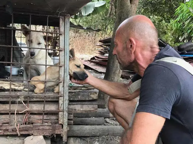 man saves dog