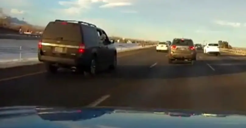 Driver Witnesses Terrifying Moment Dog Jumps Out Of Car Window In Front