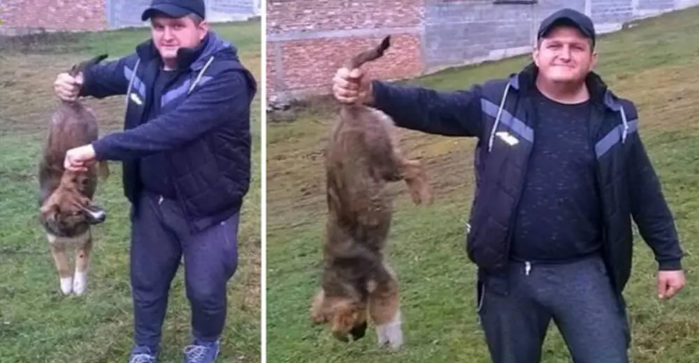 Coward Man Kills Dog And Poses For A Trophy Photo Relay Hero