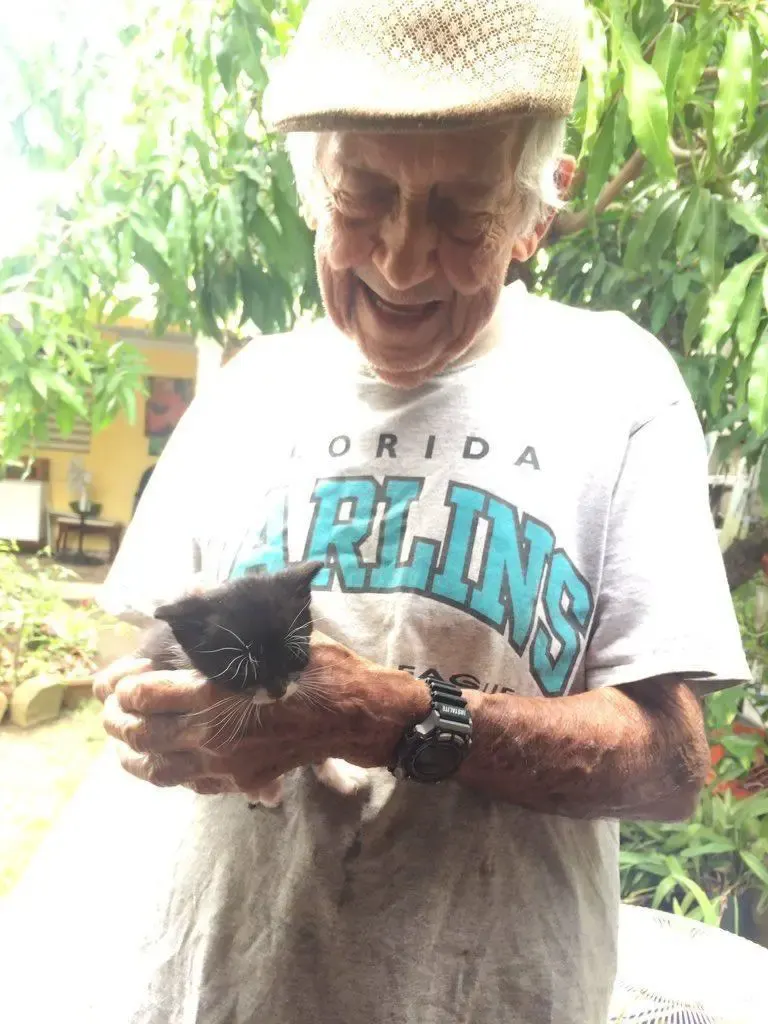 grandpa and kittens