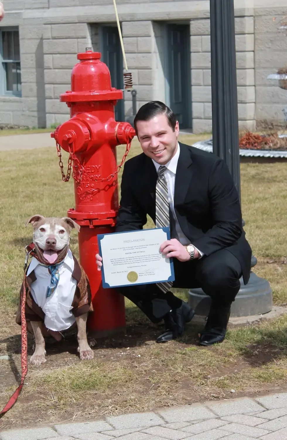 dog and fire hydrant