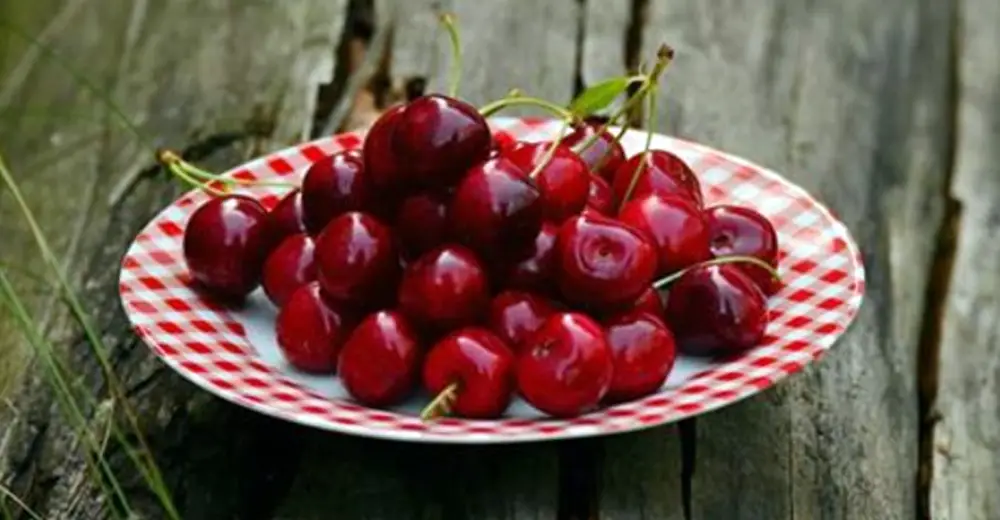 Man Nearly Dies After Eating Some Cherries And Now Officials Are Issuing Serious Warning