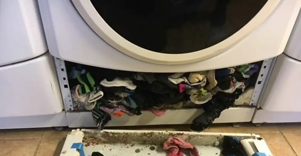 Your Washing Machine Really Has Been Eating Your Socks Away